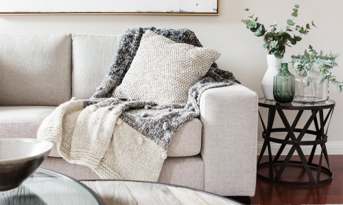 lifestyle image of a couch with pillows and nearby plants on an end table